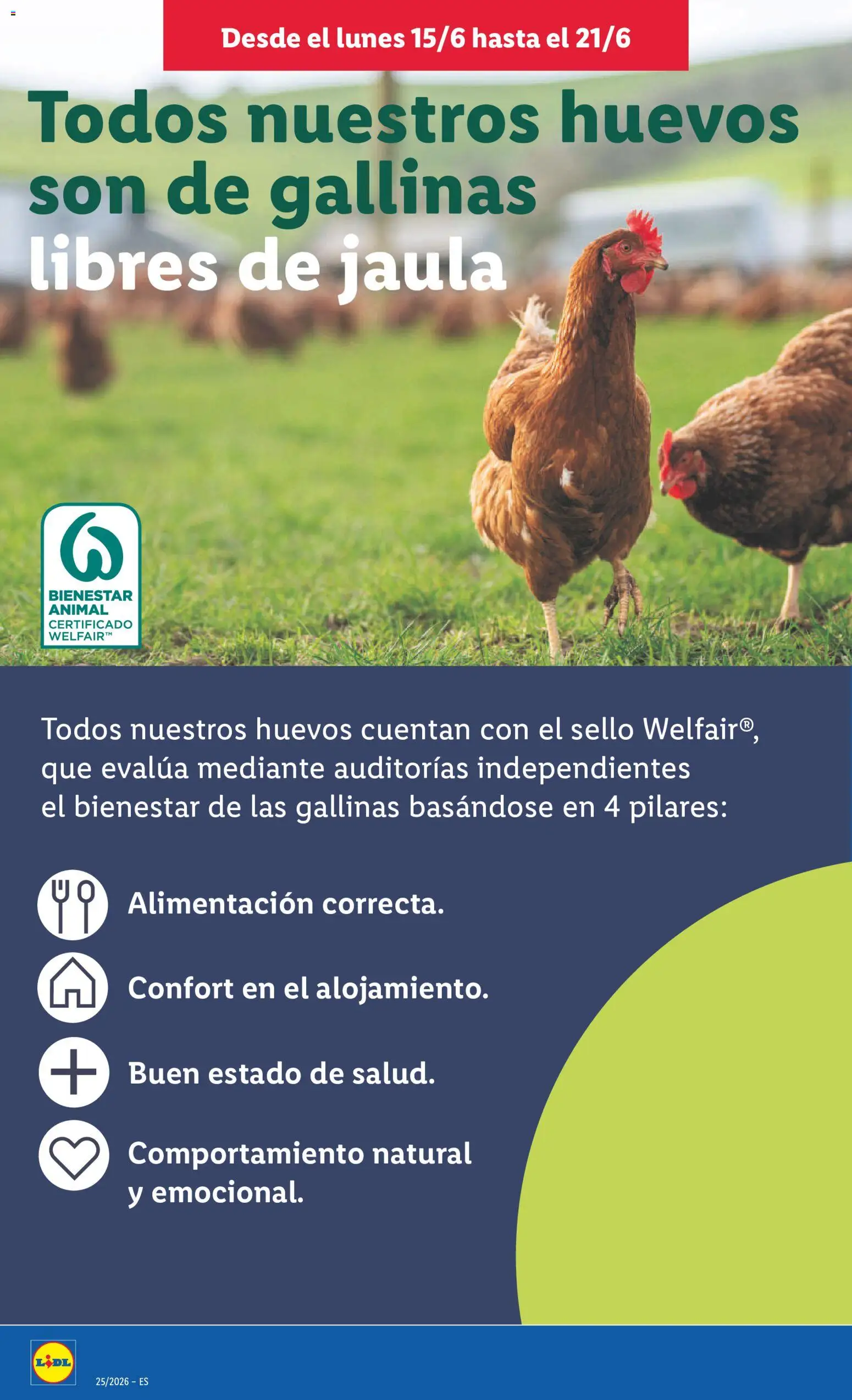 Lidl folleto │ válido desde el 15.06.2026 | Página: 18 | Productos: Huevos