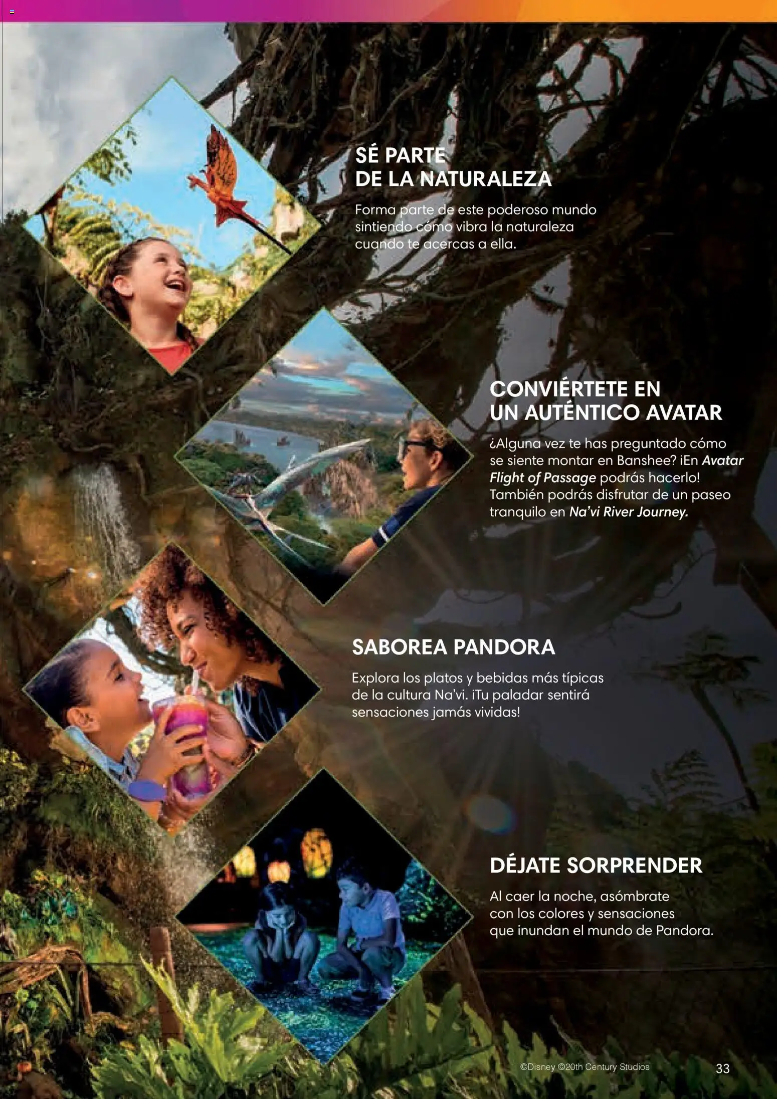 Viajes El Corte Inglés Folleto Walt Disney World │ válido desde el 03/12/2025 | Página: 33 | Productos: Té, Bebidas