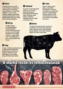 Bauhaus Grillkatalógus - amely érvényes a következő dátumtól: 2026.07.01. | Oldal: 13 | Termékek: Hús