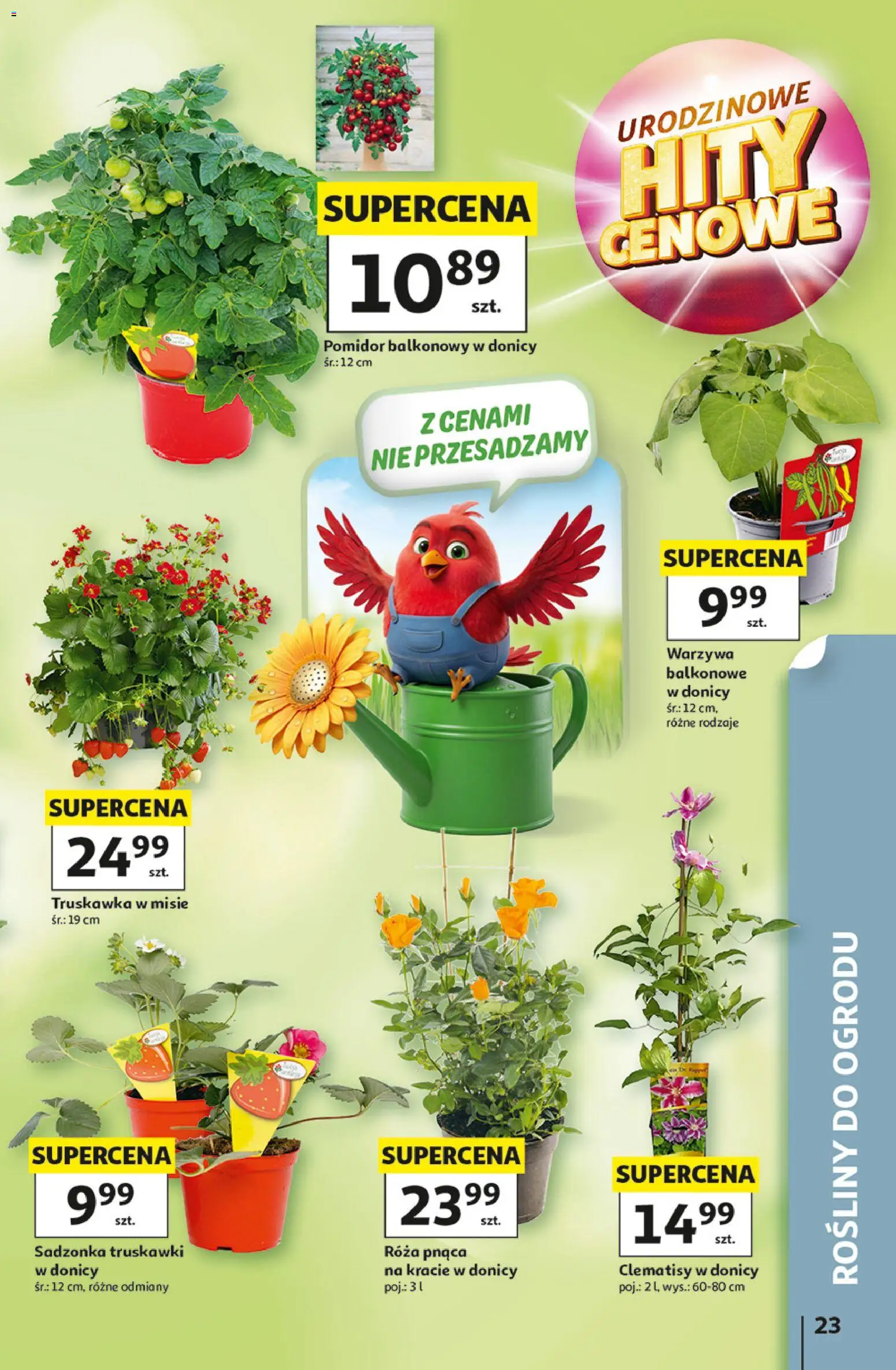 Auchan gazetka - 30 Lat Hipermarket od 07.05.2026 | Strona: 23 | Produkty: Rosliny, Truskawki, Warzywa
