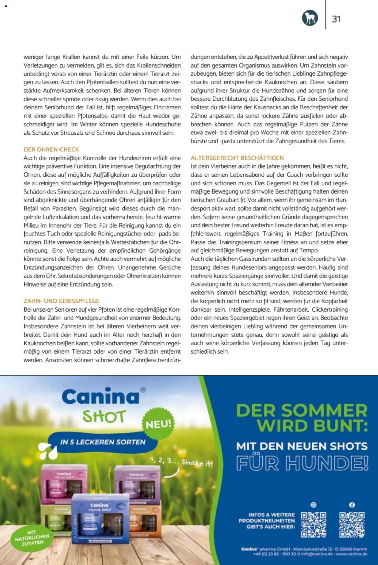 zookauf Heimtier Journal – gültig ab 01.07.2026 | Seite: 31 | Produkte: Wattestäbchen, Couch, Bürste, Pasta
