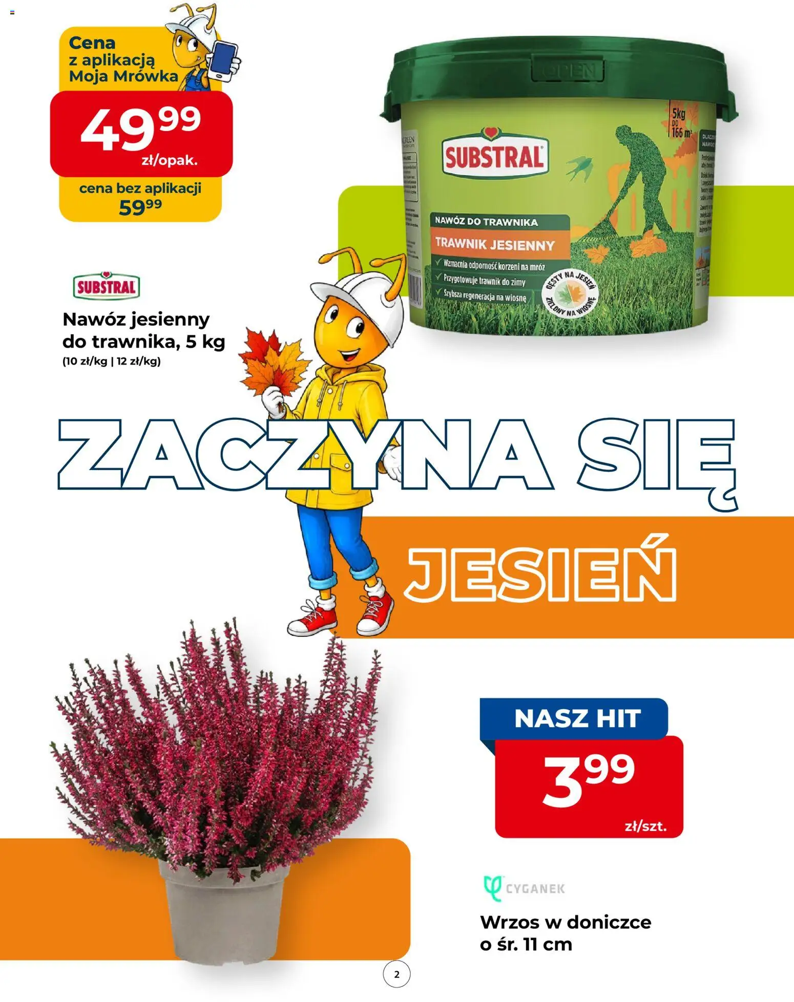 Mrówka gazetka od 10.09.2026 | Strona: 2 | Produkty: Wrzos, Nawóz