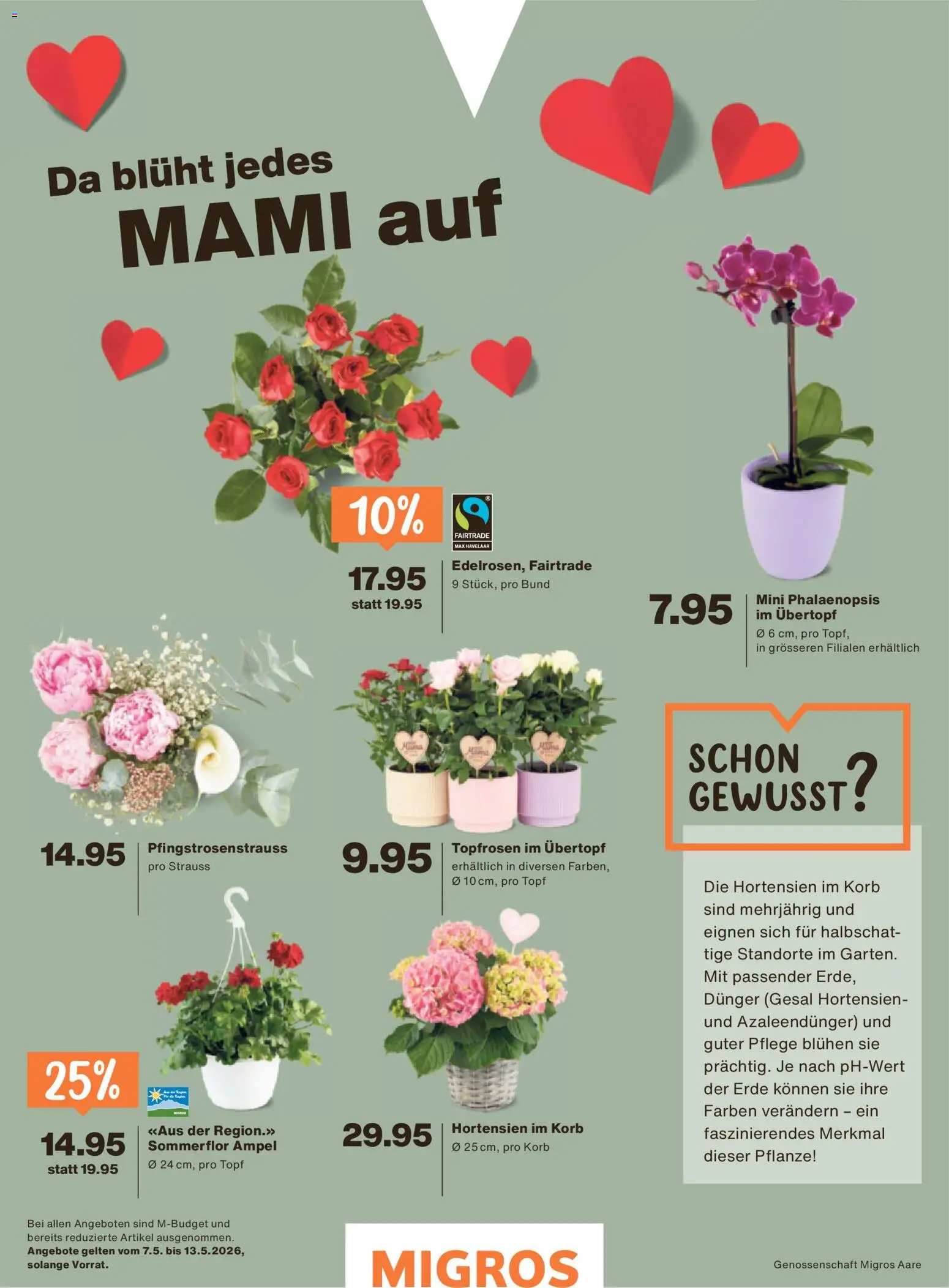 Migros aktionen Magazin – gültig ab 06.05.2026 | Seite: 37 | Produkte: Korb