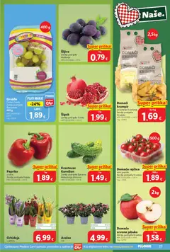 Šljiva, Zemlja podrijetla, Moldavija, 1 kg - Pregled kataloga iz trgovine Plodine, vrijedi od 23.09.2026 | Stranica: 17