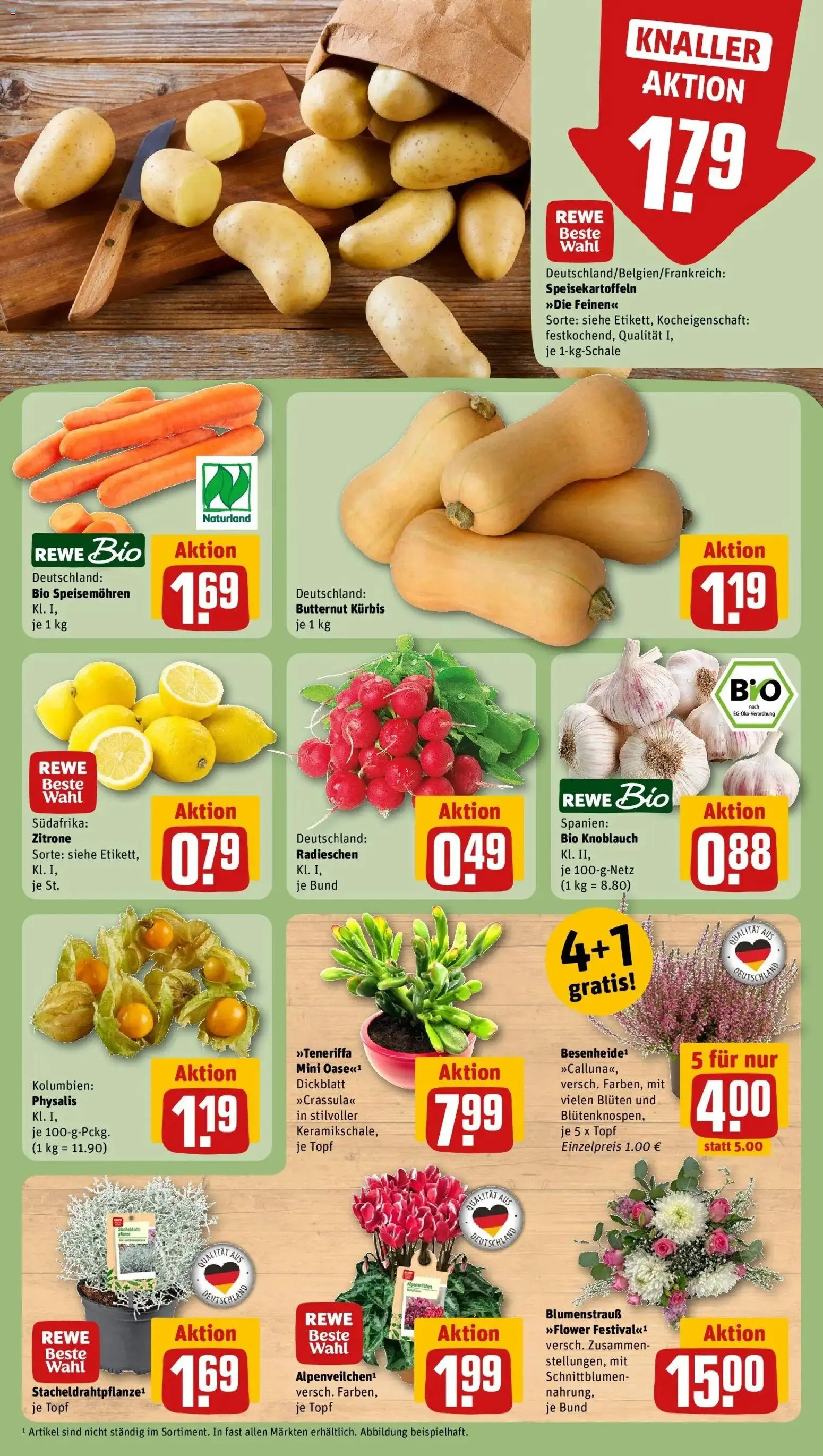 REWE Prospekt ab 05.10.2026 zum Blättern » Angebote | Seite: 9 | Produkte: Zitrone, Knoblauch, Kürbis