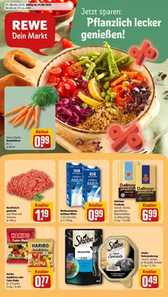 Rewe Prospekt Berlin / Tempelhof ab 24.08.2026 gültig