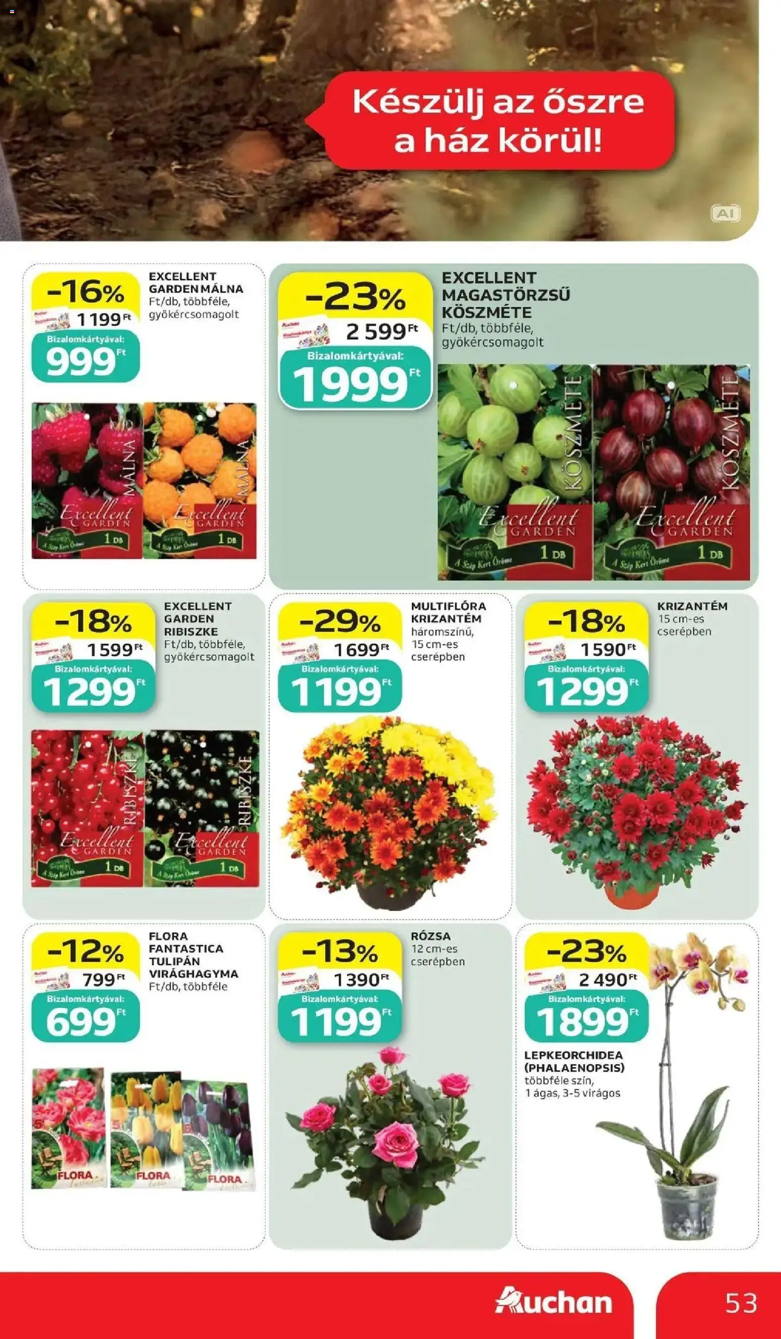 Auchan akciós újság Szolnok - 2026.10.15. -tól/töl > akció, lapozható szórólap 🛍️ | Oldal: 53 | Termékek: Málna, Virághagyma, Tulipán, Rosé