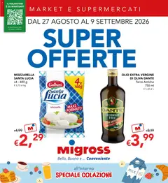 Anteprima del volantino Migross volantino valido a partire dal 27/08/2026