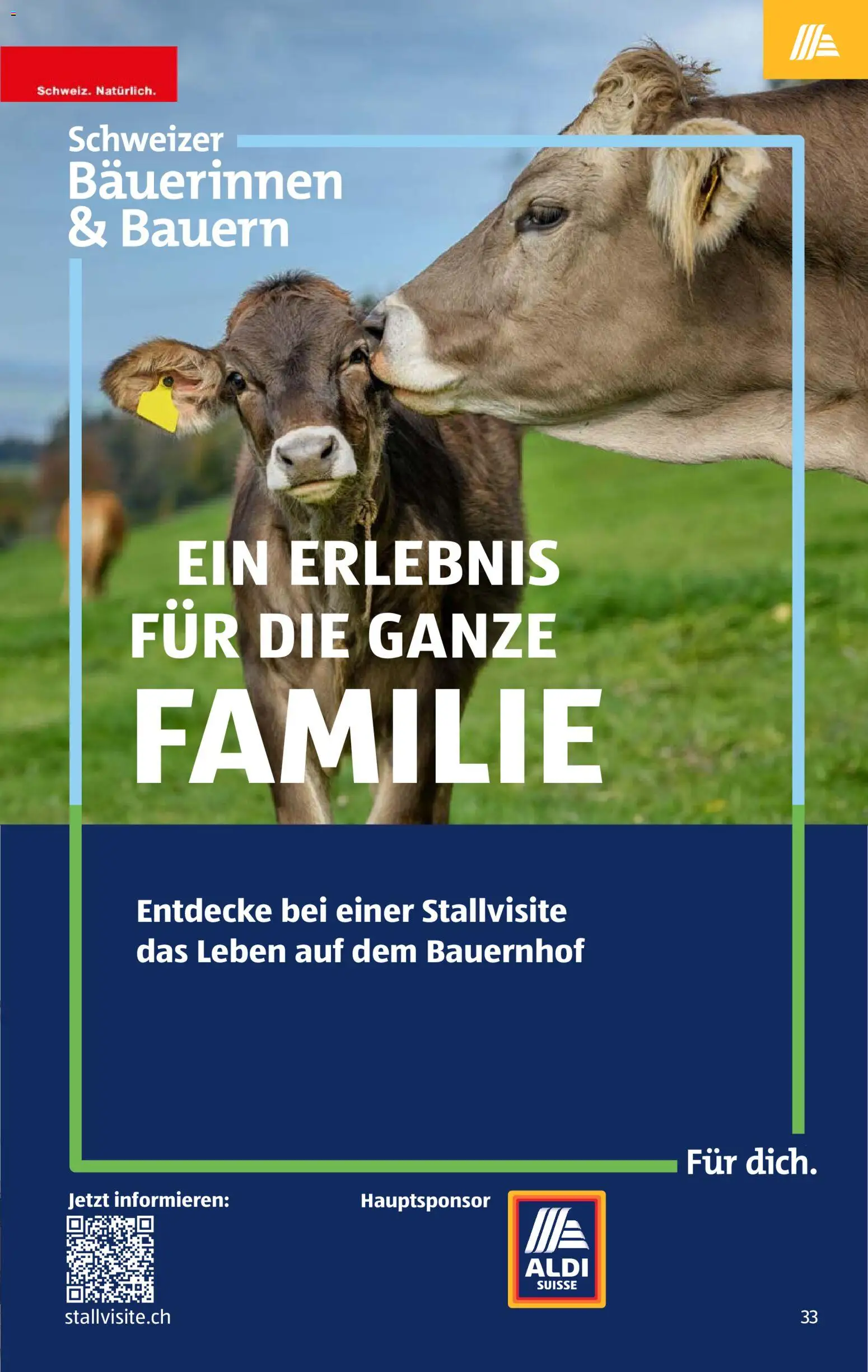 Aldi aktionen – gültig ab 04.06.2026 | Seite: 33