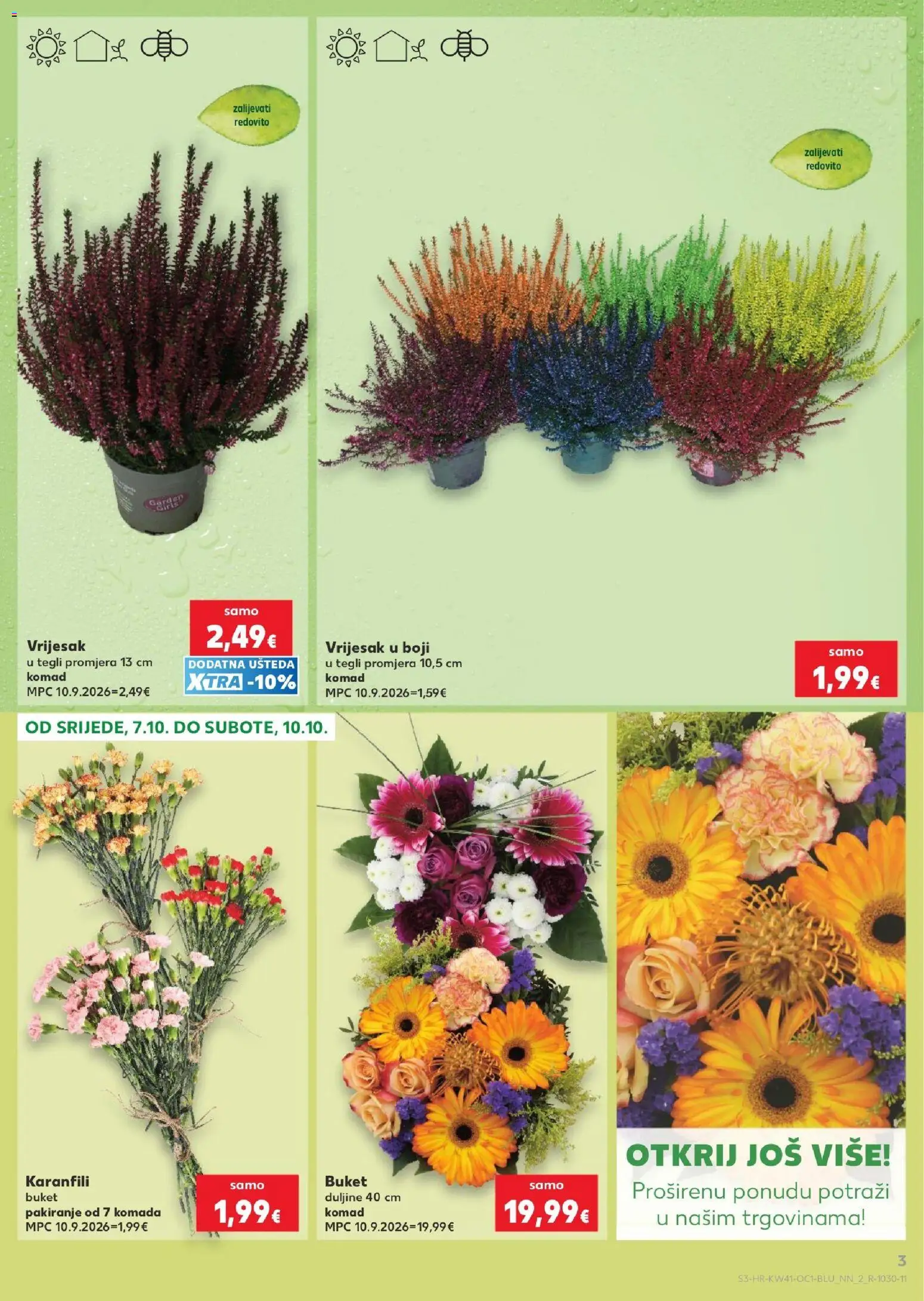 Kaufland katalog | vrijedi od 07.10.2026 | Stranica: 3 | Proizvodi: Karanfili, Vrijesak, Buket