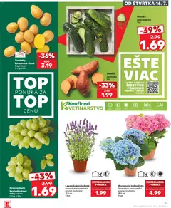 Kaufland leták platný od 16.07.2026 | Strana: 13