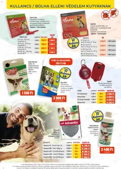 AlphaZoo akciós újság - amely érvényes a következő dátumtól: 11.05.2026 | Oldal: 2 | Termékek: Kullancsriasztó, Sampon