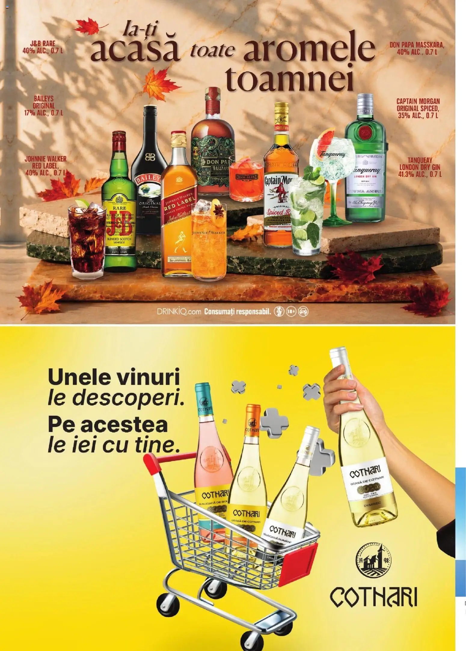 Noul catalog Mega Image – valabil de la 01.11.2026 | Pagină: 2