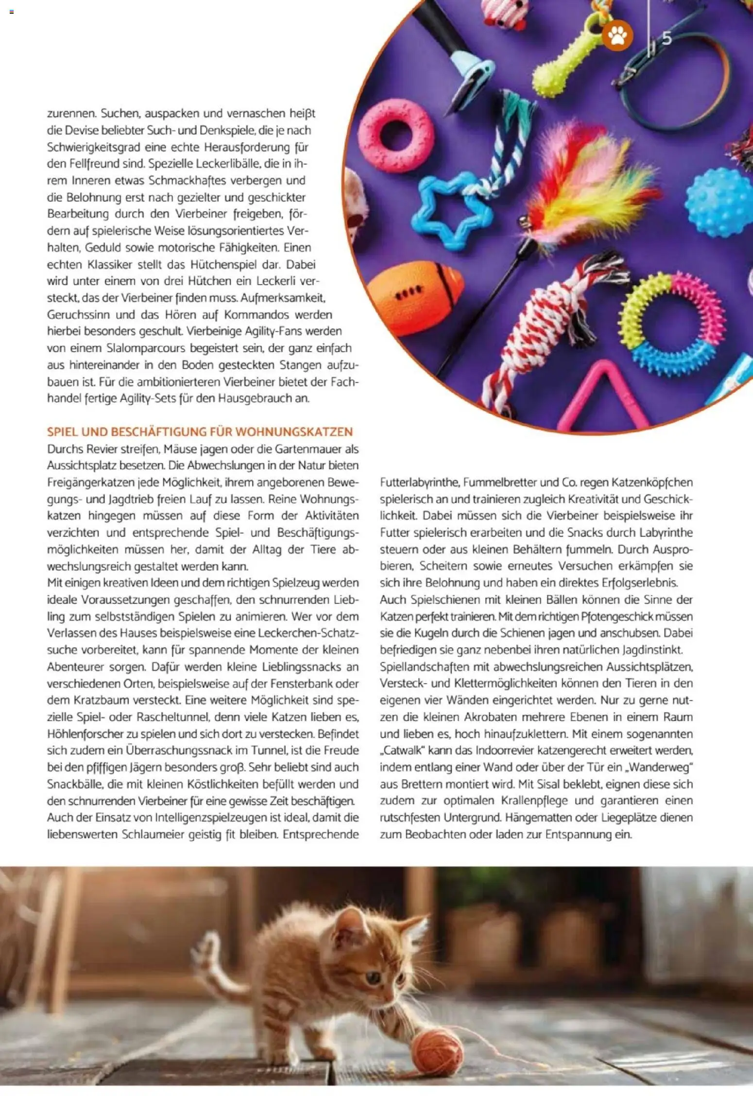 zookauf Heimtier Journal – gültig ab 01.06.2026 | Seite: 5 | Produkte: Spiel, Tür