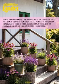 Blomsterlandet erbjudanden - Förhandsvisning av reklamblad från butik Blomsterlandet aktuell från 13/08/2026