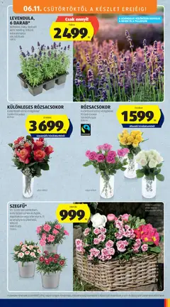 Aldi akciós újság - amely érvényes a következő dátumtól: 11.06.2026 | Oldal: 35 | Termékek: Virágok, Váza