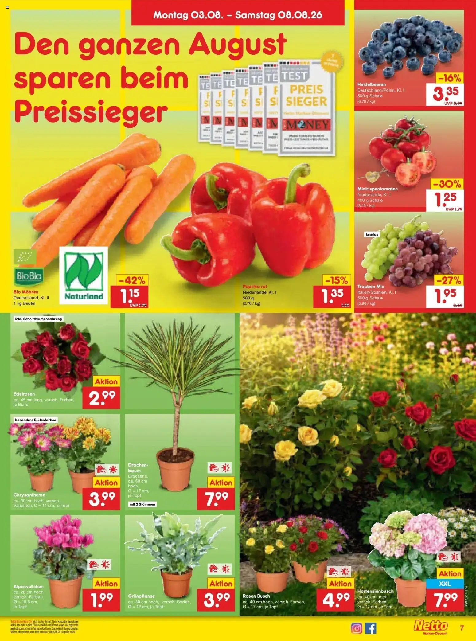 Netto Marken-Discount Prospekt Pirna – gültig ab 03.08.2026 | Seite: 11 | Produkte: Trauben, Paprika rot, Heidelbeeren, Paprika