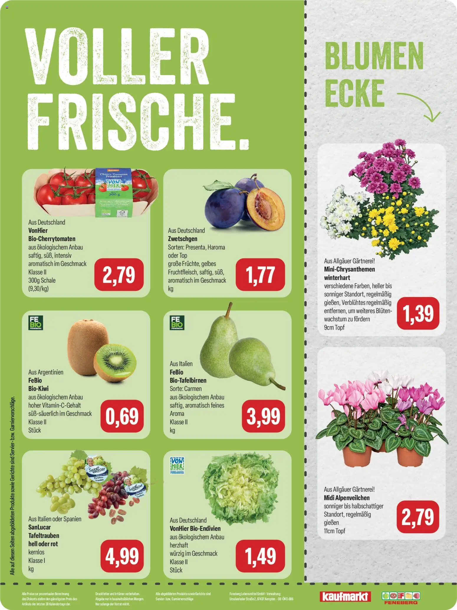 Feneberg Angebote – gültig ab 10.09.2026 | Seite: 8 | Produkte: Trauben, Tomaten, Zwetschgen, Gerichte