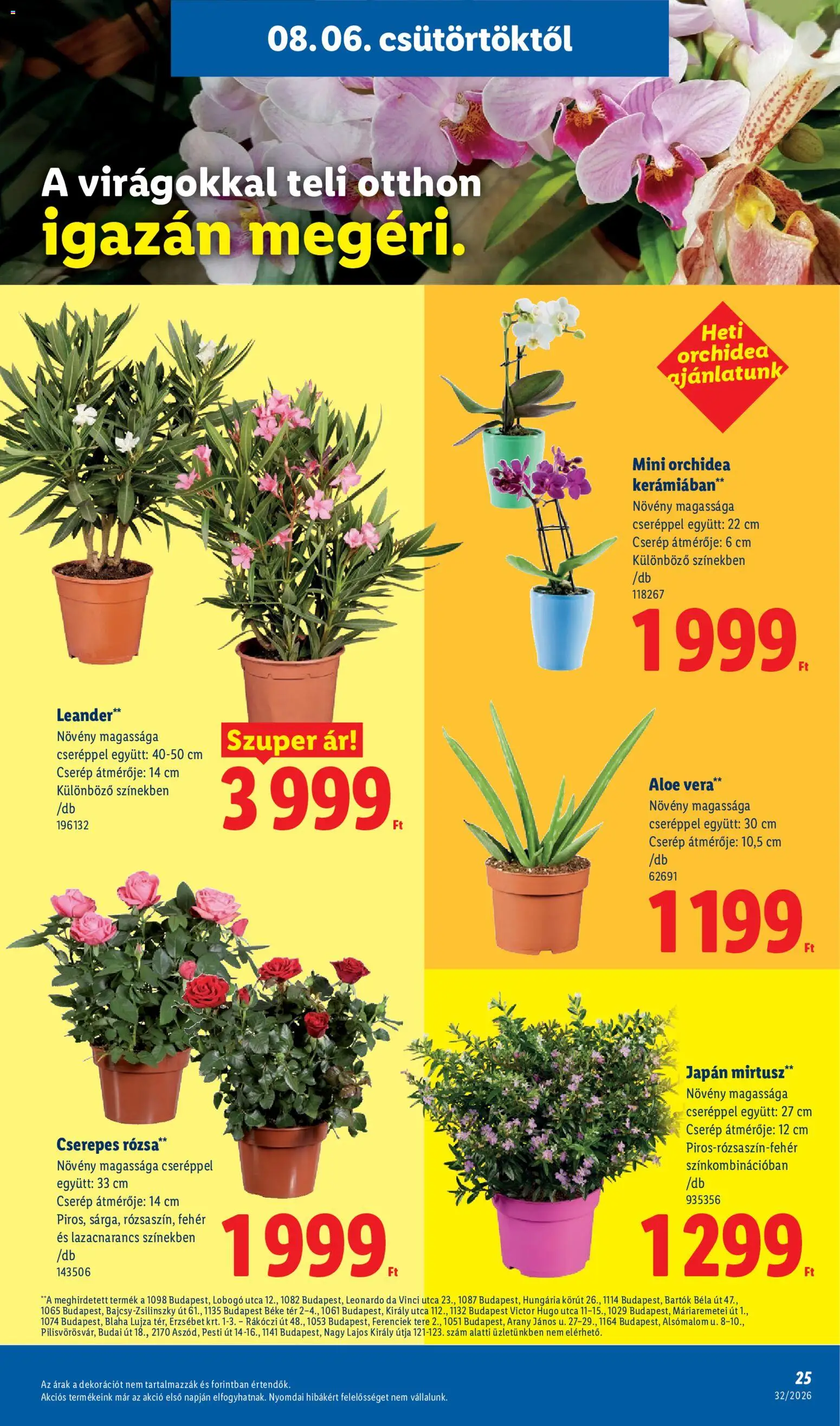 Lidl akciós ujság - amely érvényes a következő dátumtól: 2026.08.06. | Oldal: 25 | Termékek: Orchidea, Aloe vera, Rosé