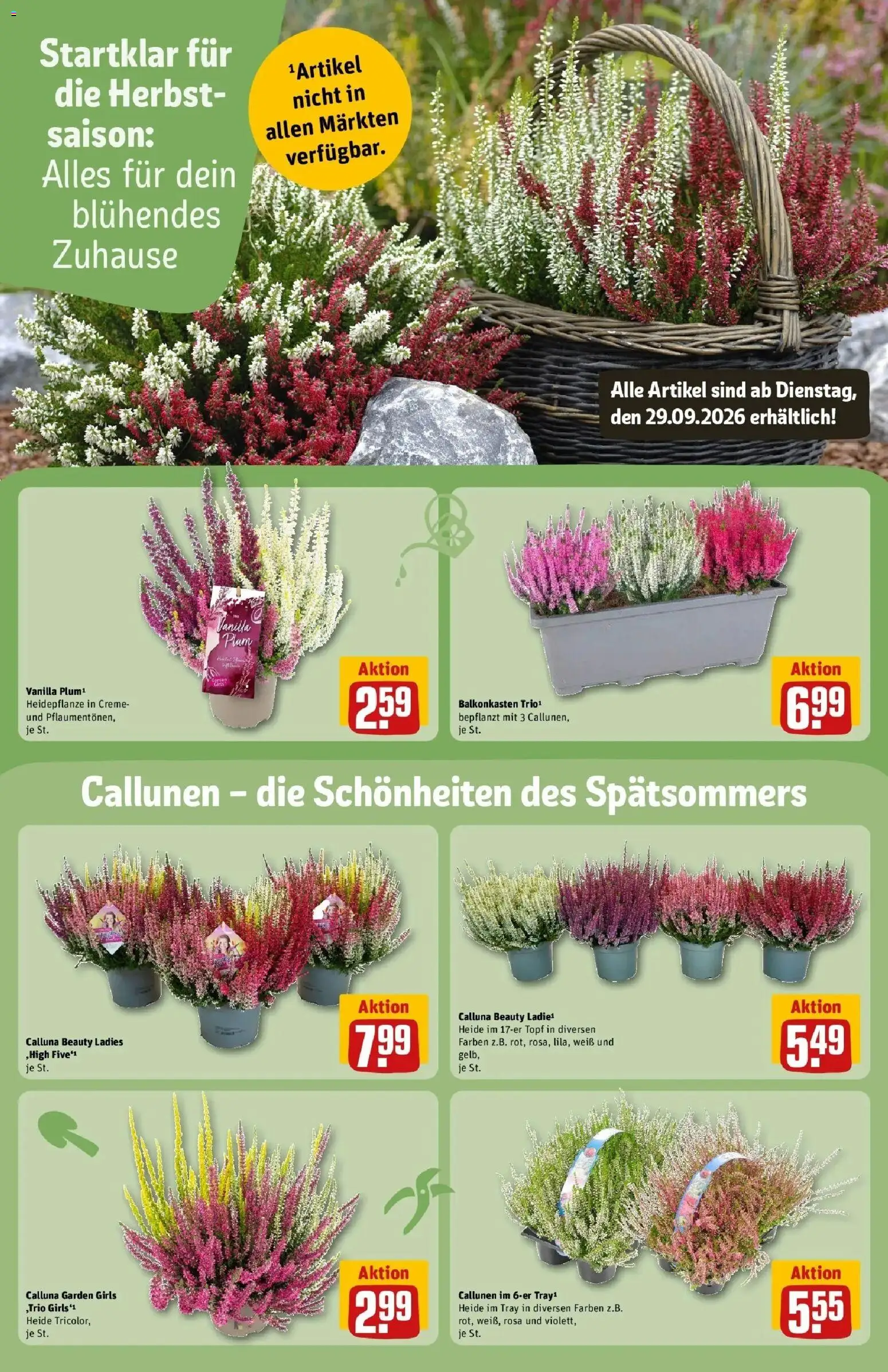 REWE Prospekt ab 28.09.2026 zum Blättern » Angebote | Seite: 14 | Produkte: Creme