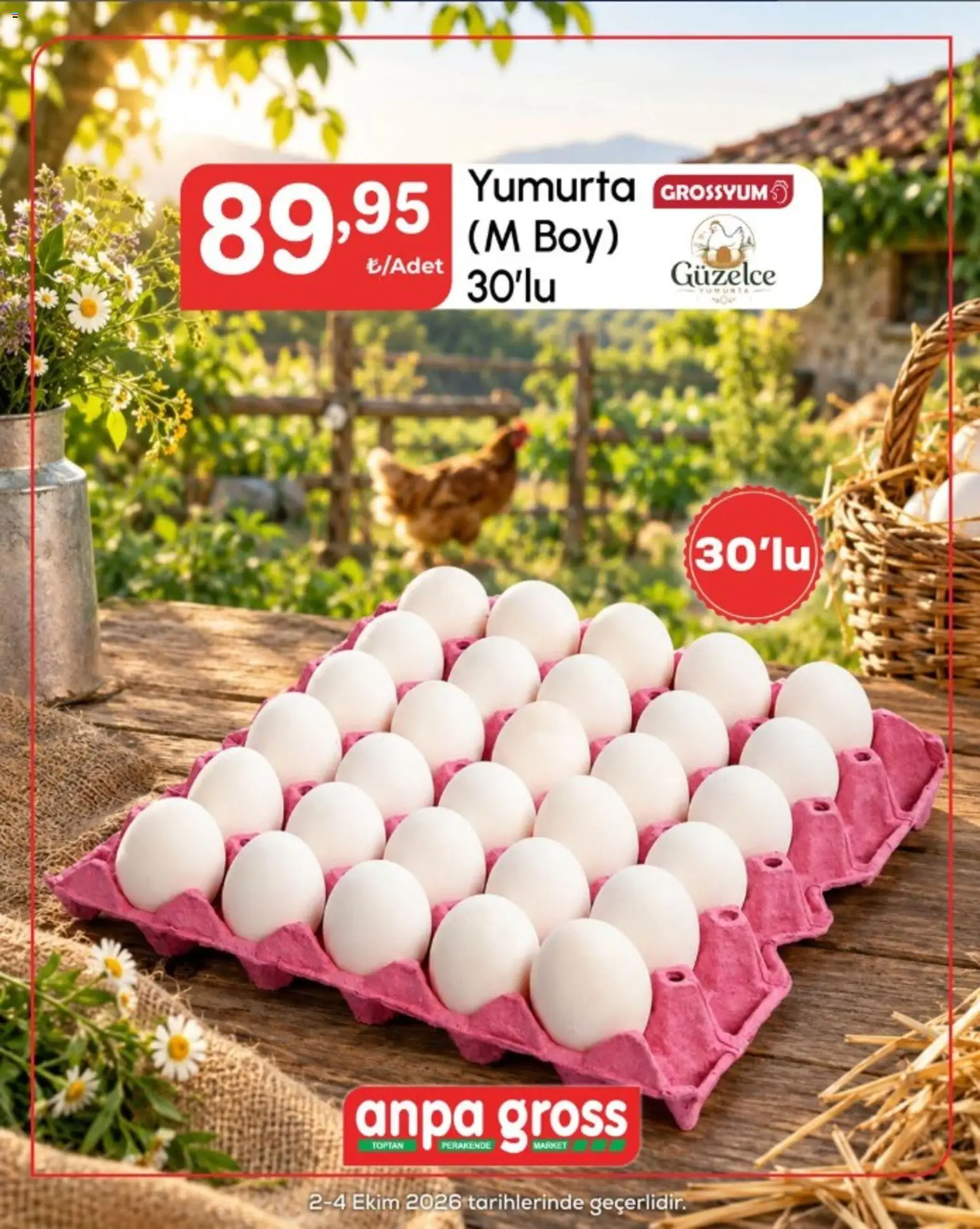 Anpa Gross Katalog - 02 Ekim 2026 tarihinden itibaren geçerlidir | Sayfa: 1 | Ürünler: Yumurta