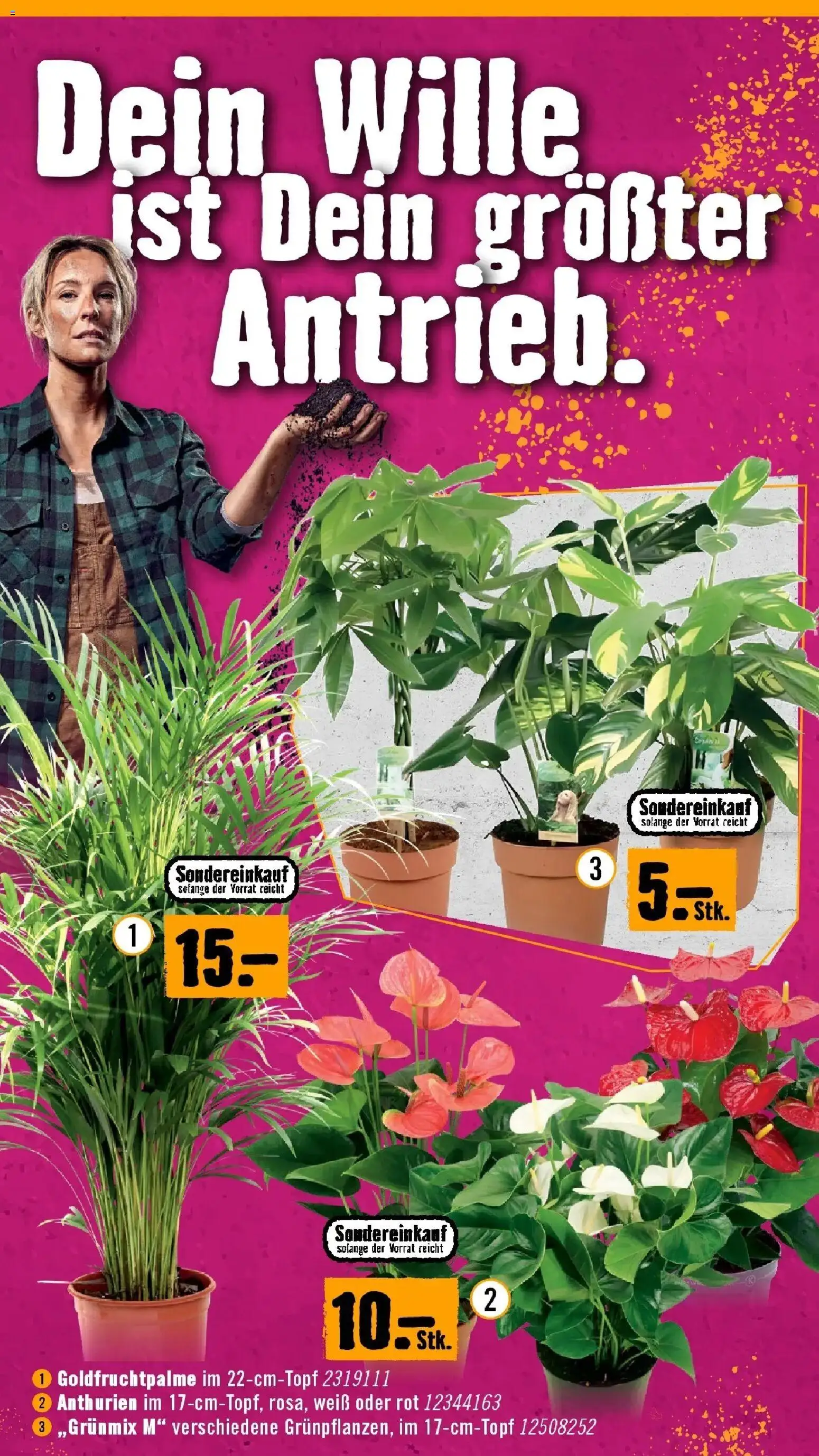 Hornbach Große Neueröffnung gültig ab 02.09.2026 | Seite: 15