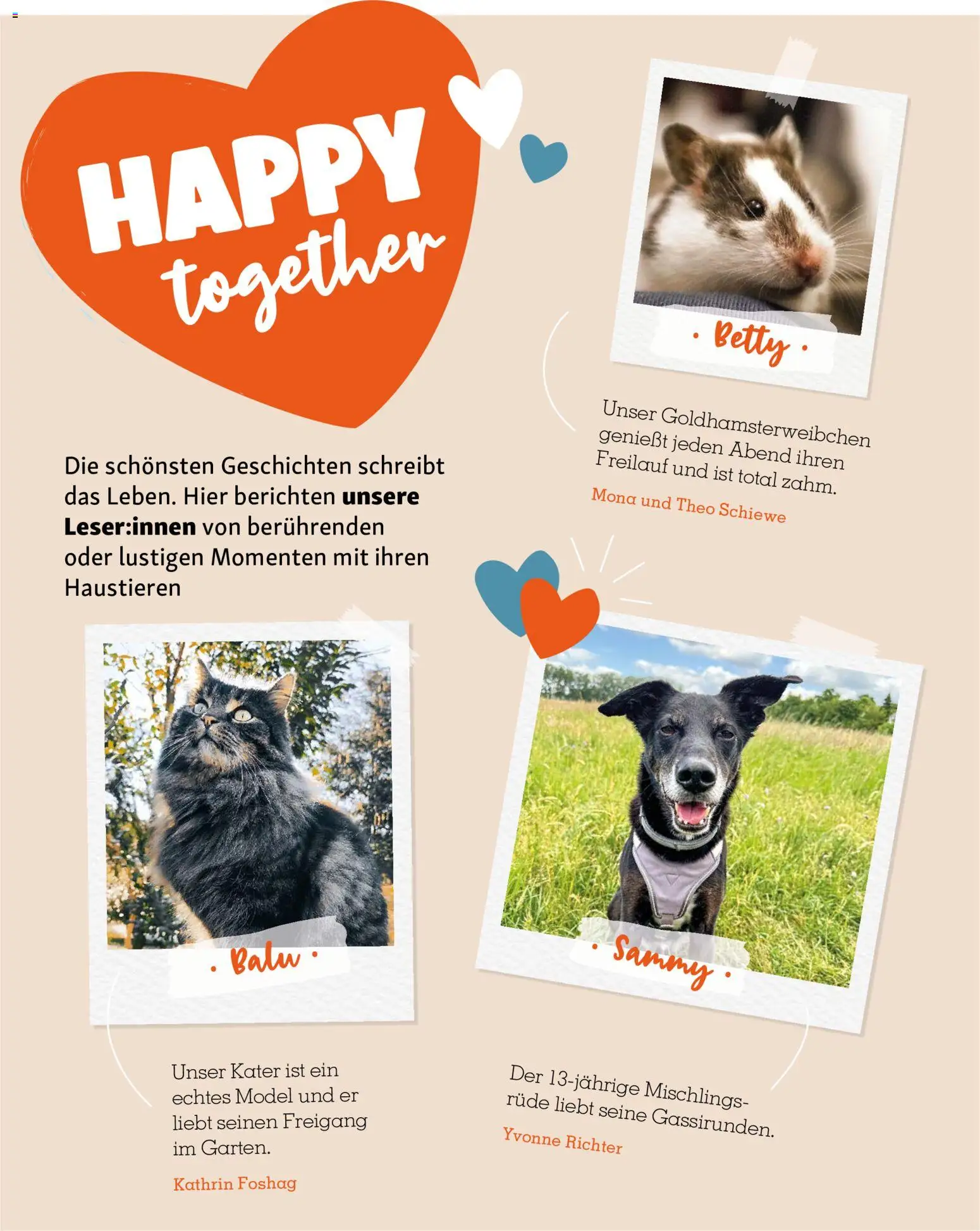 Fressnapf Friends Magazin – gültig ab 01.09.2026 | Seite: 52