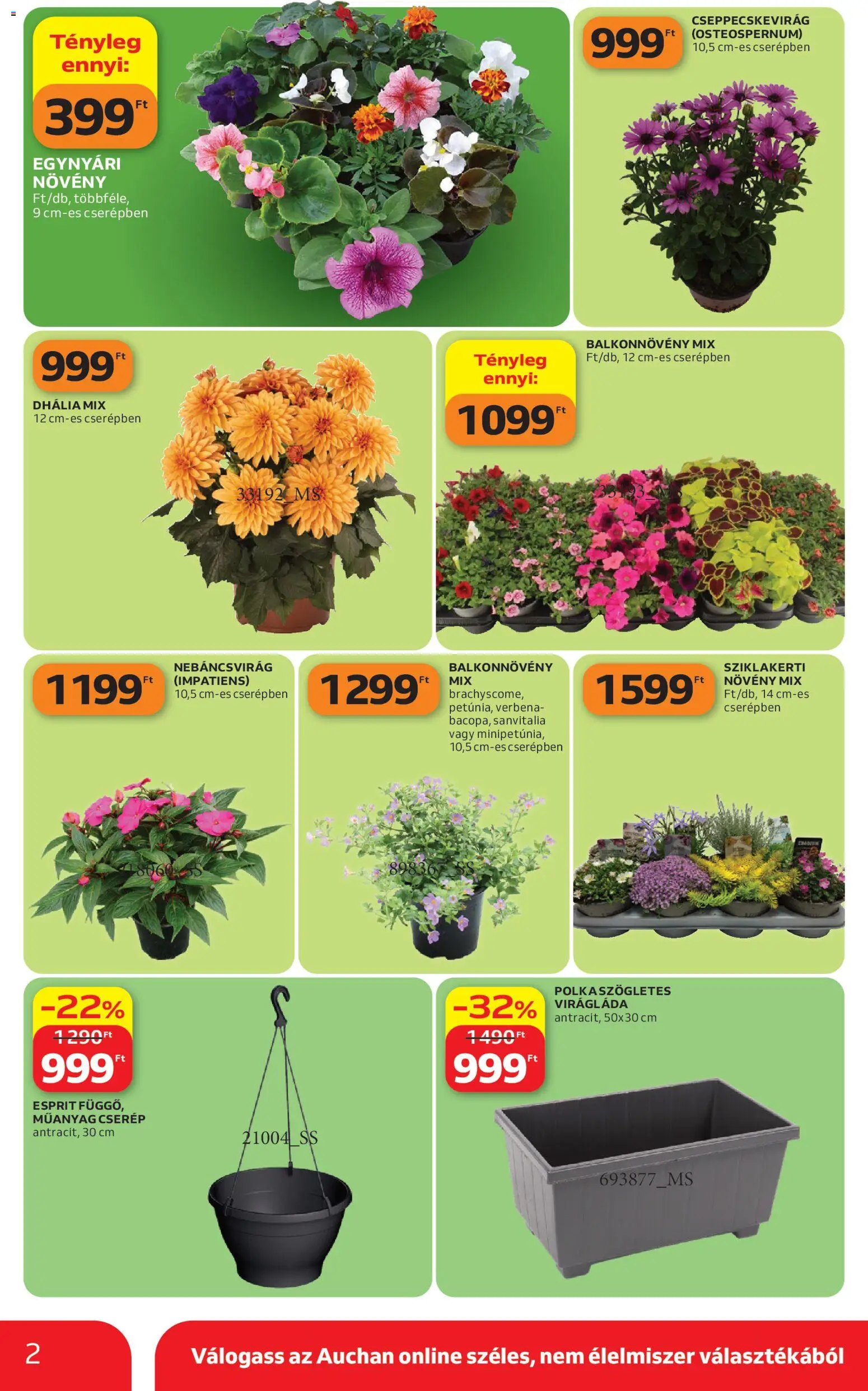 Auchan akciós ujság - amely érvényes a következő dátumtól: 16.04.2026 | Oldal: 2 | Termékek: Virágláda