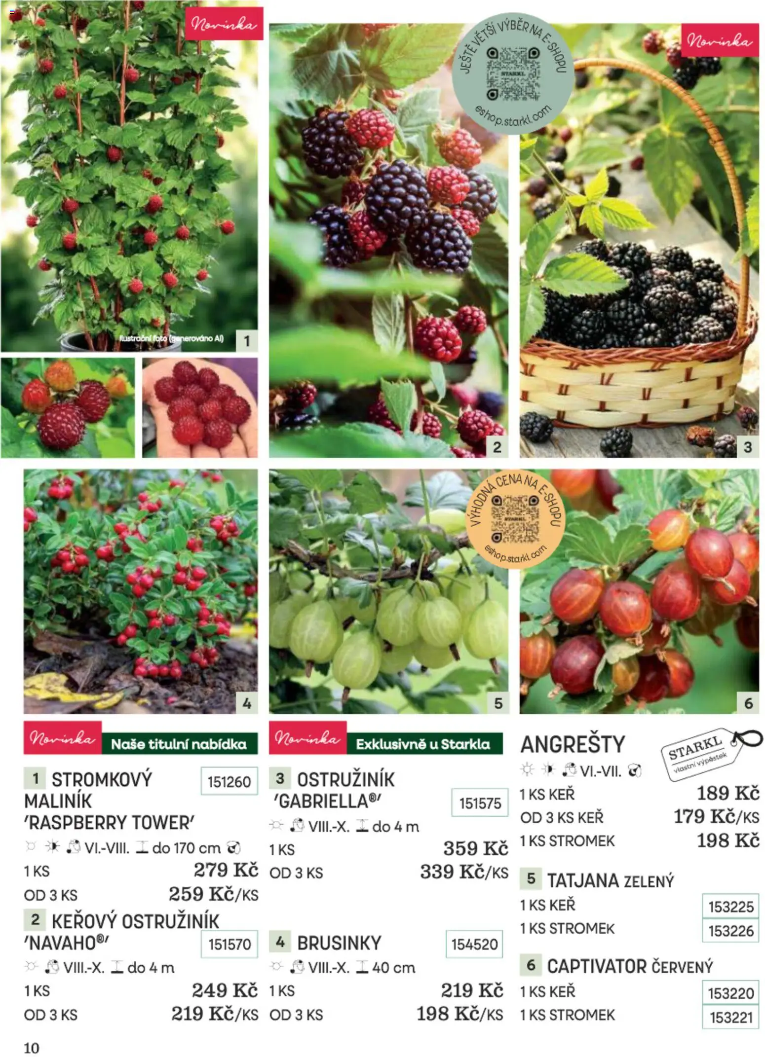 Starkl katalog Podzim 2026 od 01.09.2026 | Strana: 10 | Produkty: Brusinky