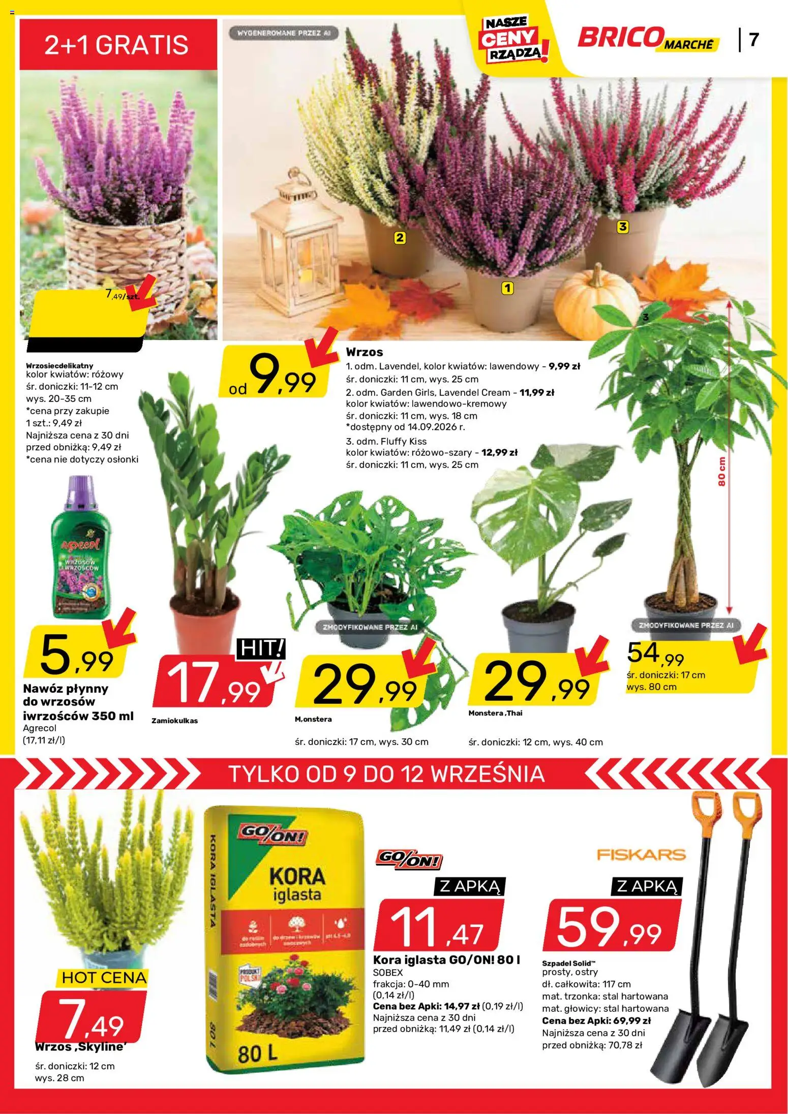 Brico Marché gazetka od 09.09.2026 | Strona: 8 | Produkty: Zamiokulkas, Wrzos, Nawóz, Doniczki