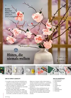 Pagro-Diskont Ideenwerk ab 01.05.2026 gültig | Seite: 24 | Produkte: Wasser, Pinsel