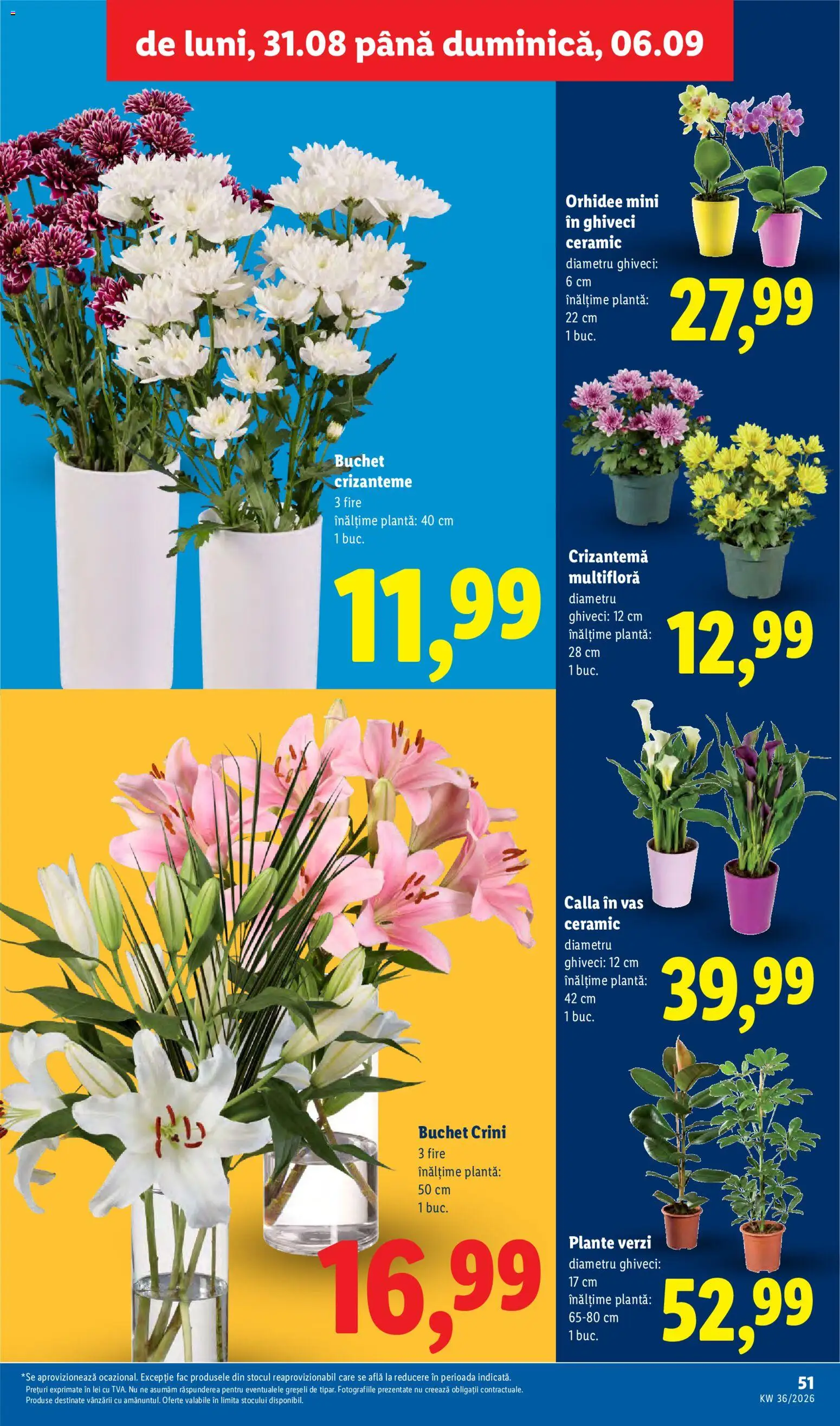 Noul catalog Lidl – valabil de la 31.08.2026 | Pagină: 51
