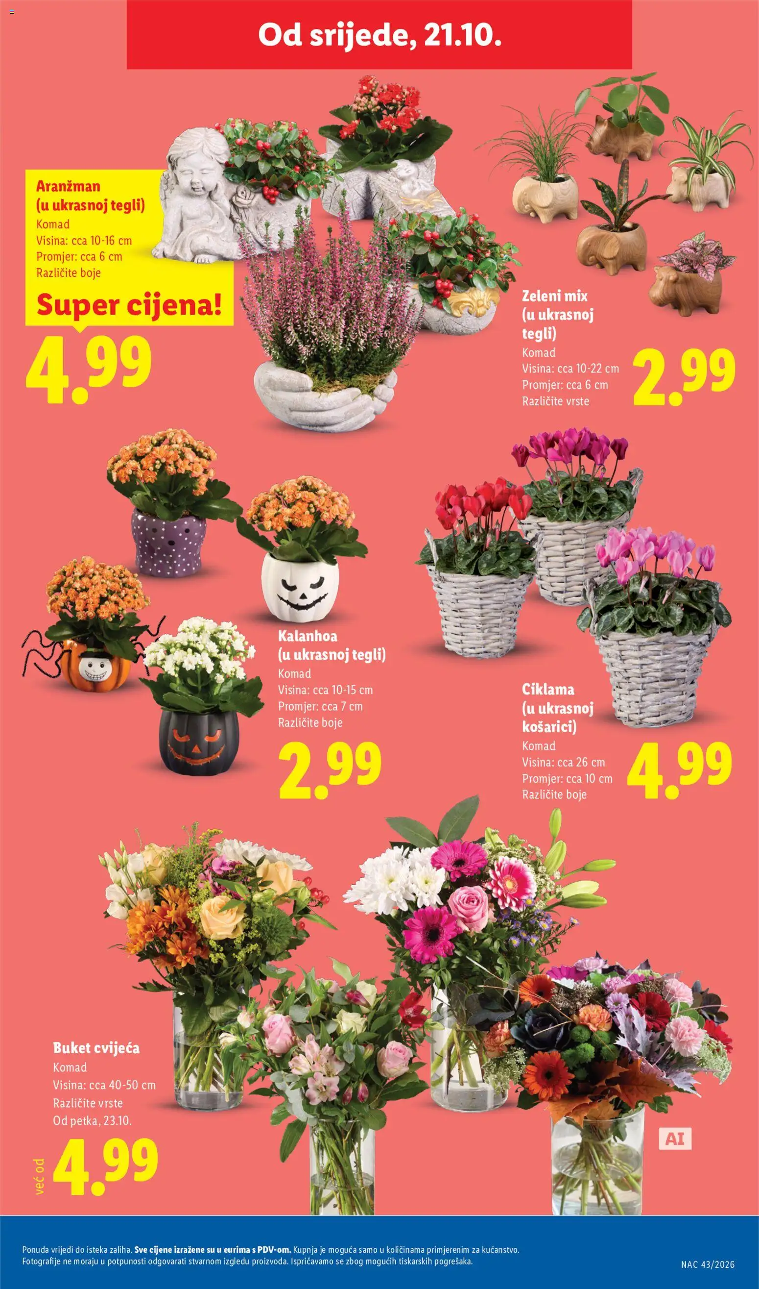 Lidl katalog | vrijedi od 19.10.2026 | Stranica: 53