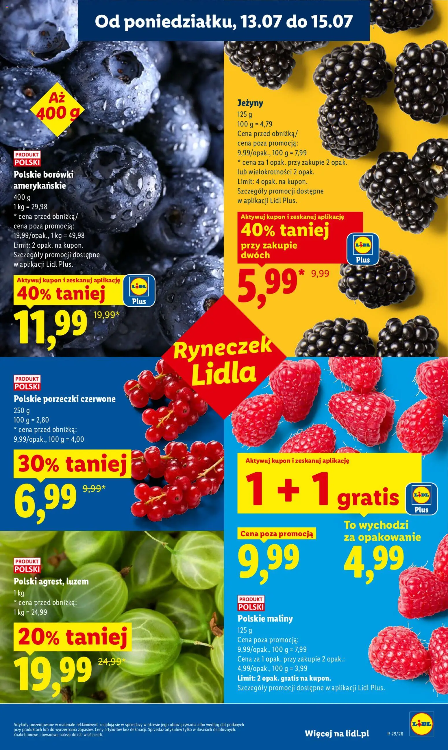 Lidl gazetka od 13.07.2026 | Strona: 41 | Produkty: Maliny, Jeżyny