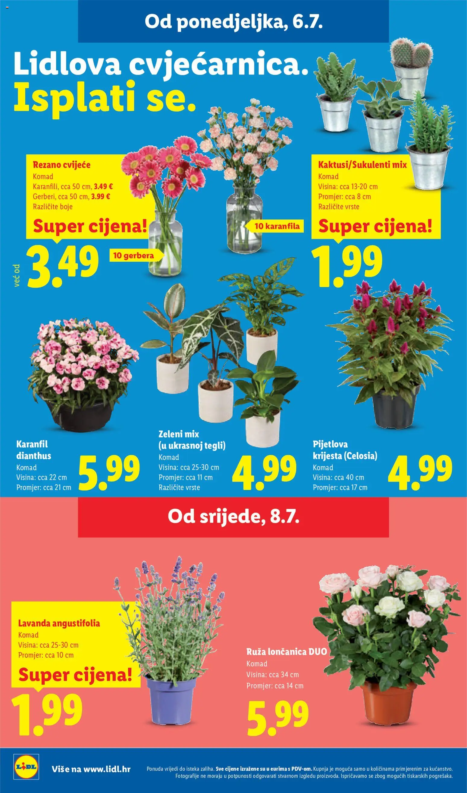 Lidl katalog | vrijedi od 06.07.2026 | Stranica: 50