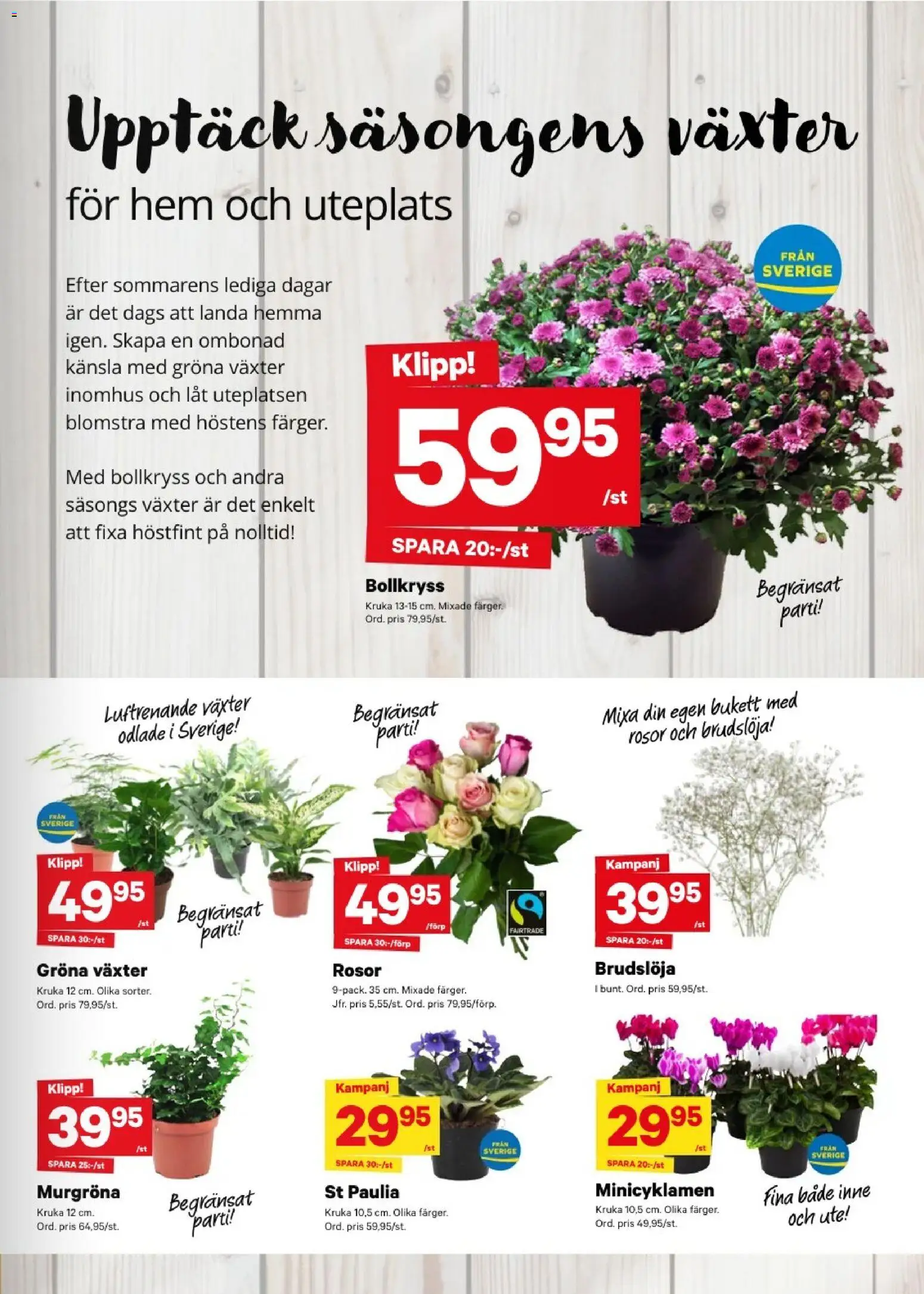City Gross reklamblad aktuell från 24/08/2026 | Sida: 9 | Produkter: Kruka