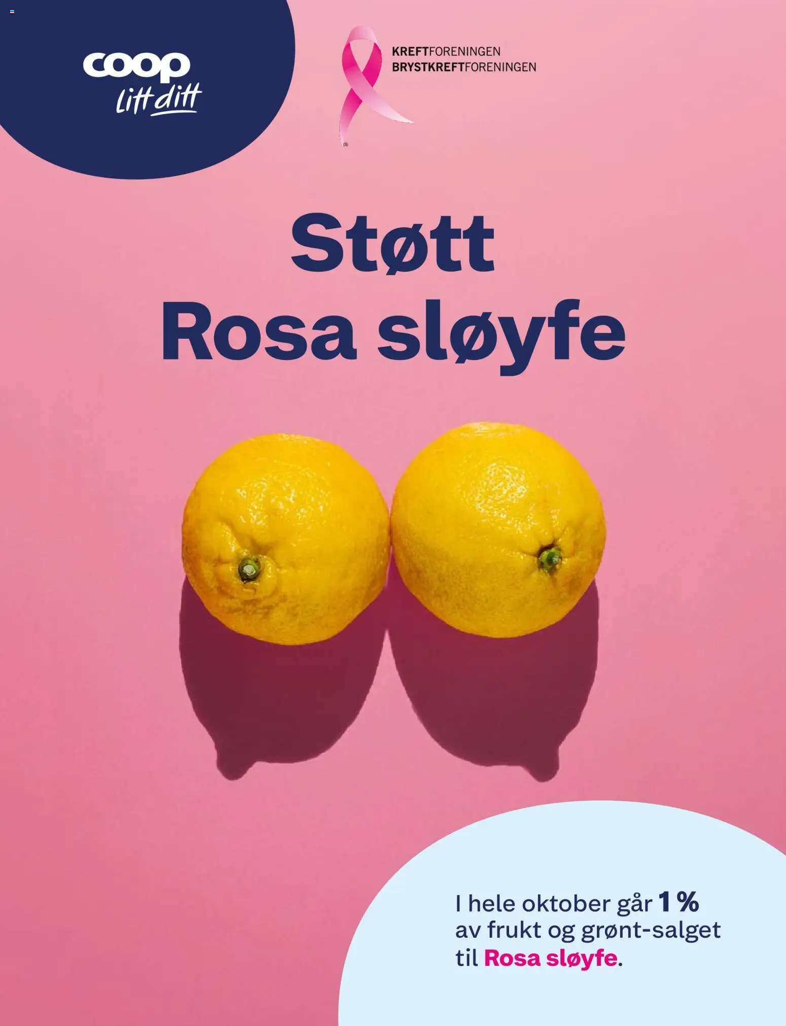 {H1} | Side: 13 | Produkter: Frukt, Sløyfe
