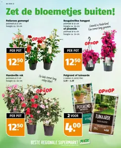 Poiesz folder - Voorbeeld van een folder van Poiesz, geldig van 10.05.2026 | Pagina: 36 | Producten: Pot