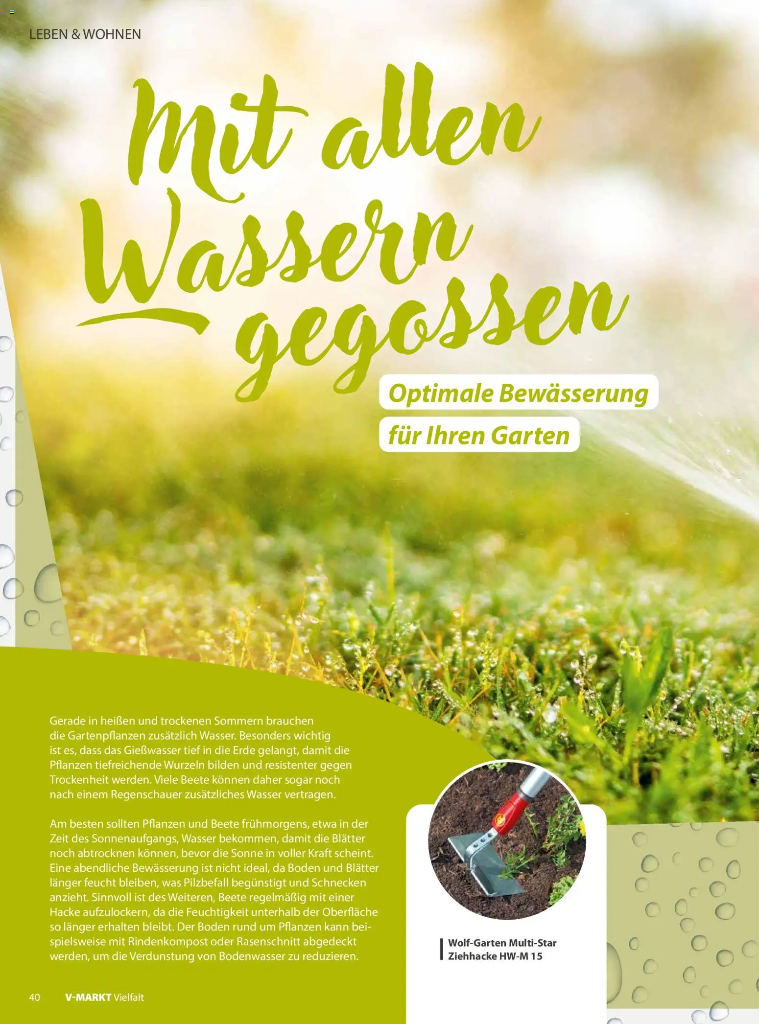 V-Markt Vielfalt Juli / August – gültig ab 01.07.2026 | Seite: 40
