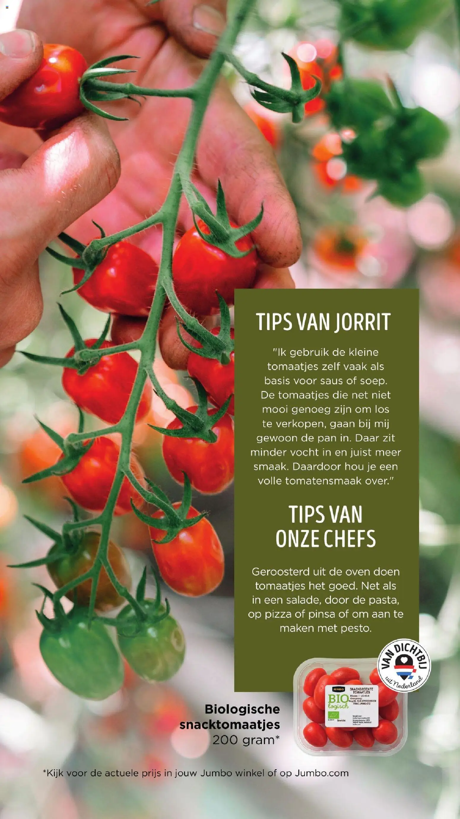 {H1} | Pagina: 21 | Producten: Pan, Oven, De oven, Saus