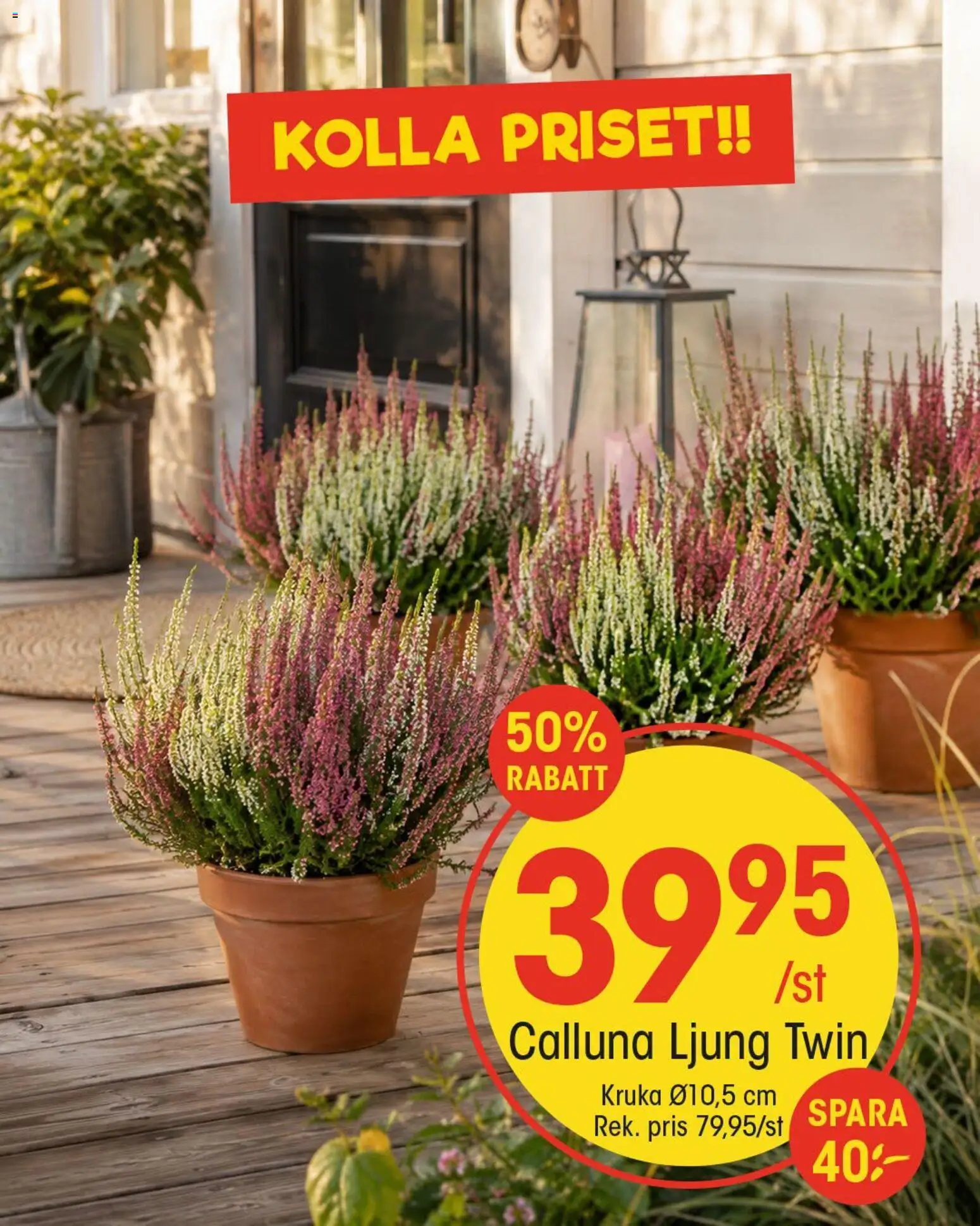 EKO reklamblad aktuell från 26/08/2026 | Sida: 9