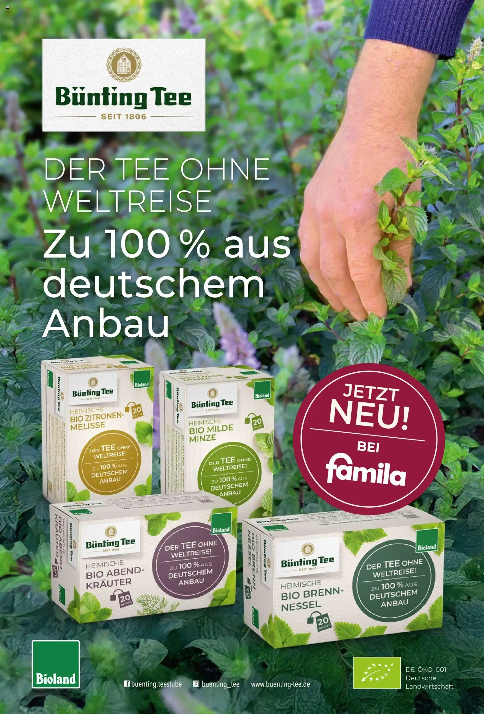 Famila Nordwest myTime Juni 2026 – gültig ab 01.06.2026 | Seite: 31 | Produkte: Tee, Zitronen