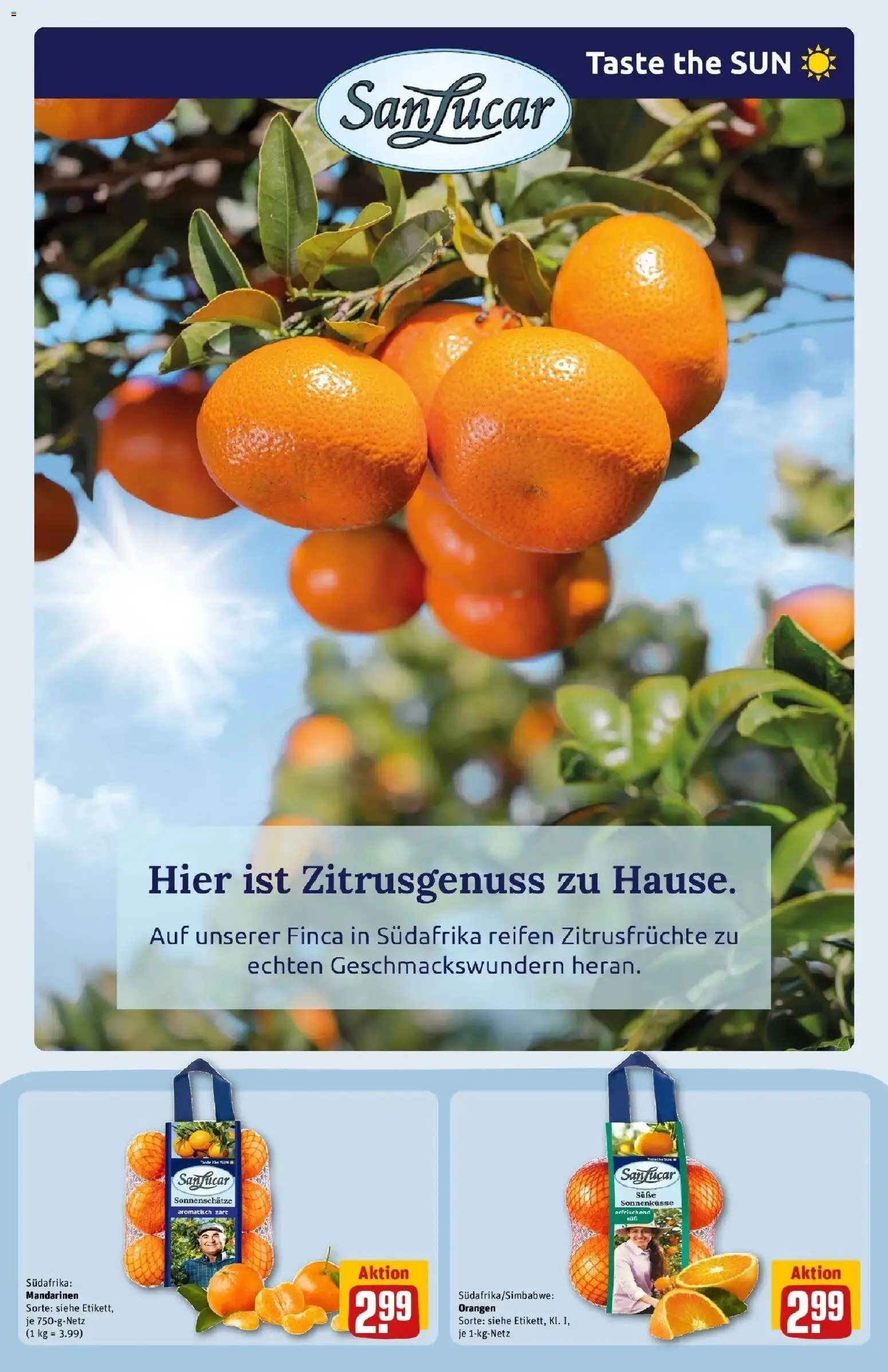 REWE Prospekt ab 28.09.2026 zum Blättern » Angebote | Seite: 15 | Produkte: Mandarinen, Orangen