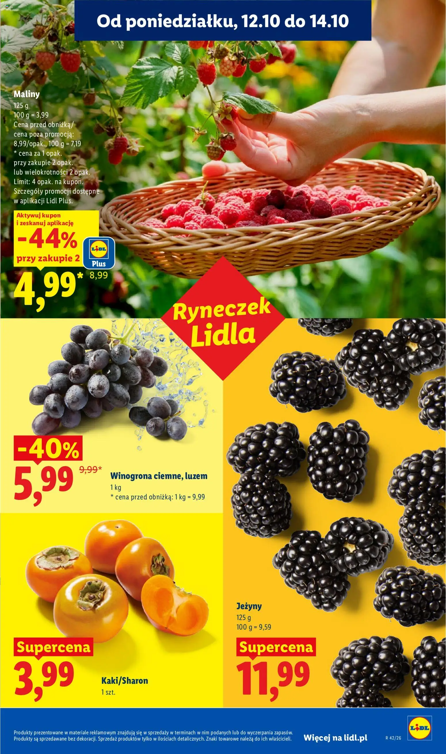 Lidl Polsko leták od 12.10.2026 | Strana: 51
