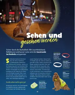 Fressnapf Friends Magazin ab 01.09.2026 gültig | Seite: 32 | Produkte: Stirnlampe, Weste