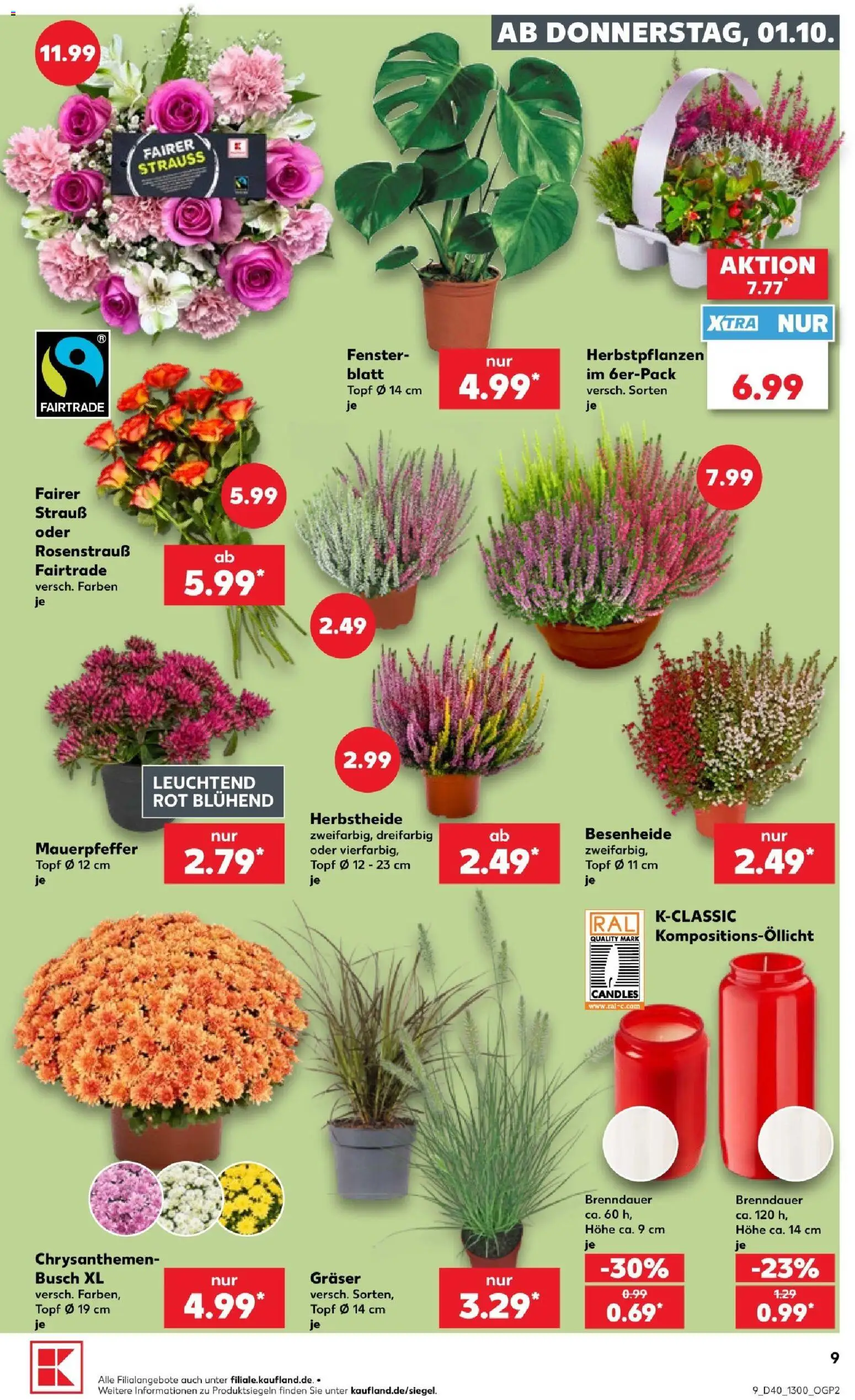 Kaufland Prospekt Köln – gültig ab 01.10.2026 | Seite: 13