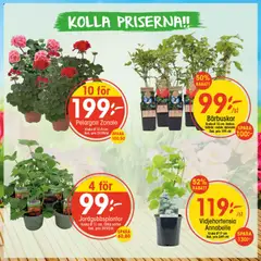 EKO erbjudanden - Förhandsvisning av reklamblad från butik EKO aktuell från 27.04.2026