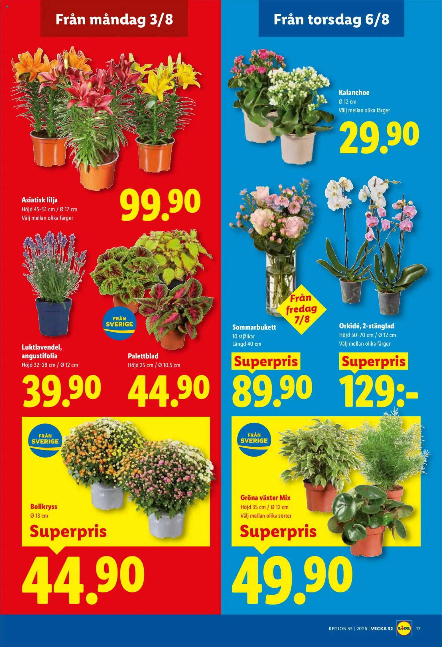 Lidl reklamblad aktuell från 03/08/2026 | Sida: 19