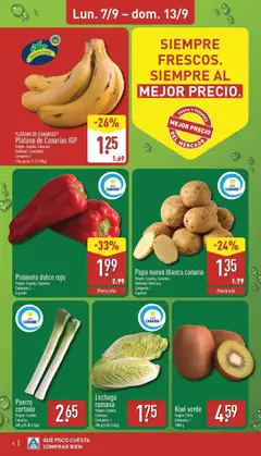 Vista previa Kiwi verde, Kiwi verde. Origen: Chile. Categoría: I. 1000 g válido desde el 07/09/2026 | Página: 4
