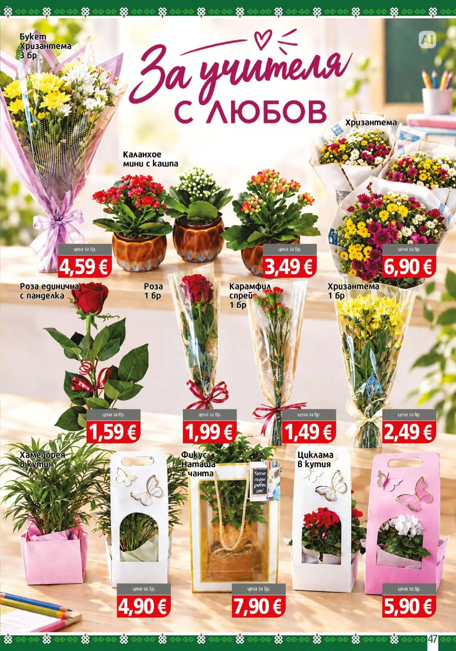 {H1} | Страница: 47 | Продукти: Хризантема, Карамфил, Кутия, Роза